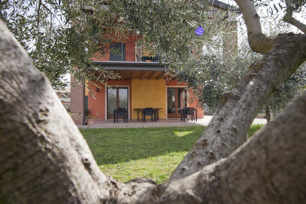 Agriturismo Le Sigalette Salionze Екстер'єр фото